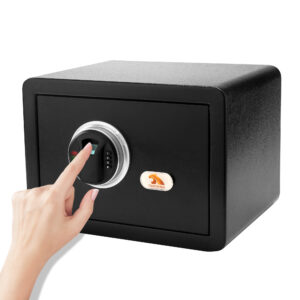 TIGERKING Security Home Safe, Safe Box